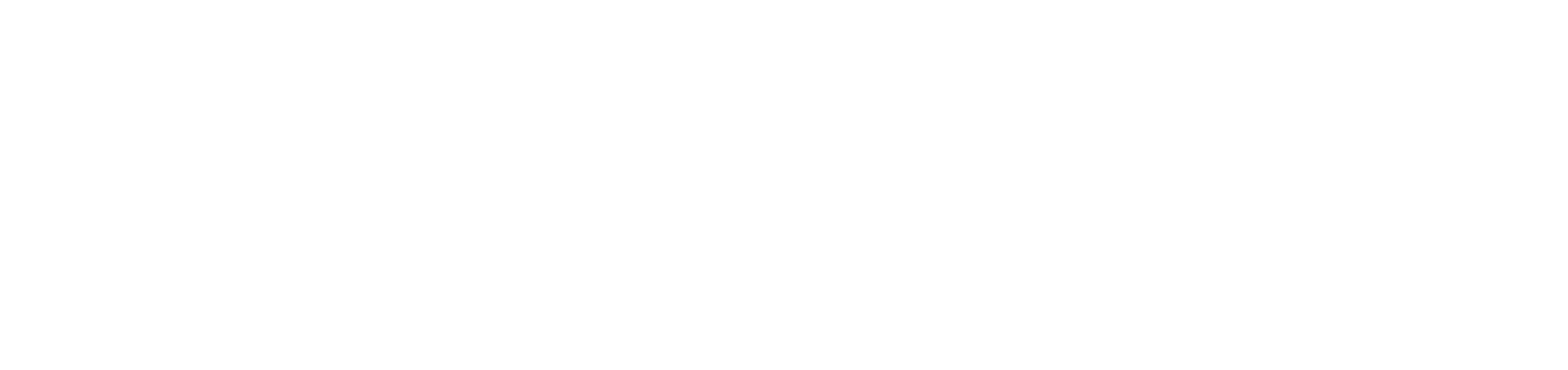 Lars Larsen Group