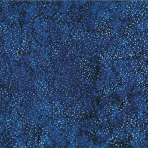 3019-242.jpg