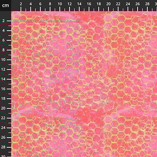 7056-324.jpg
