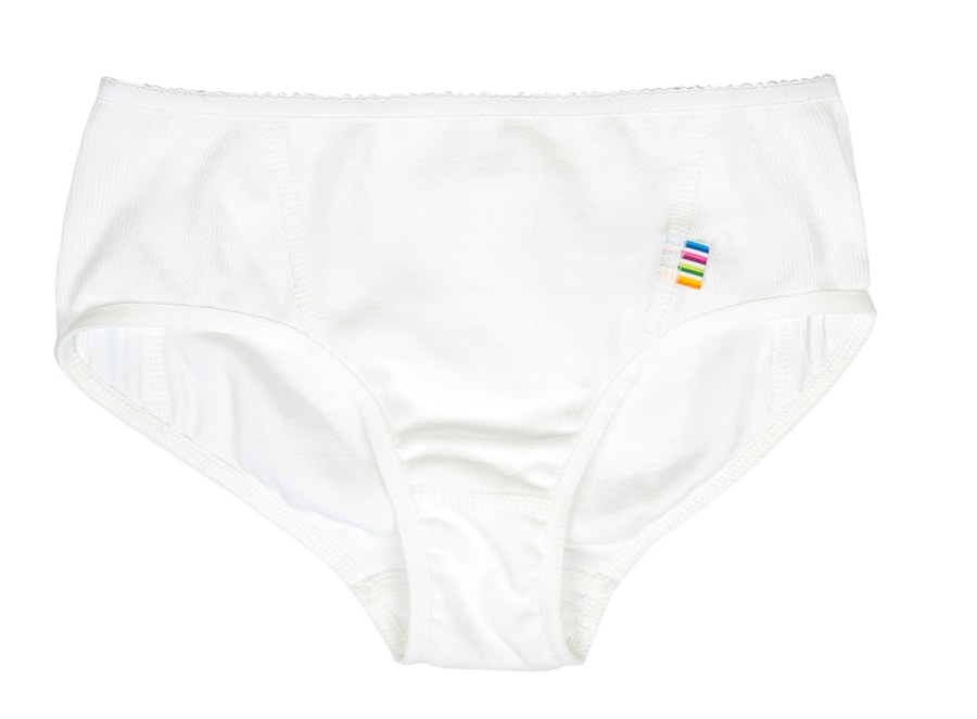 Briefs