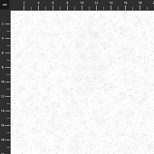4592-107.jpg