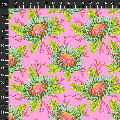 PWTP265.Coralline.jpg
