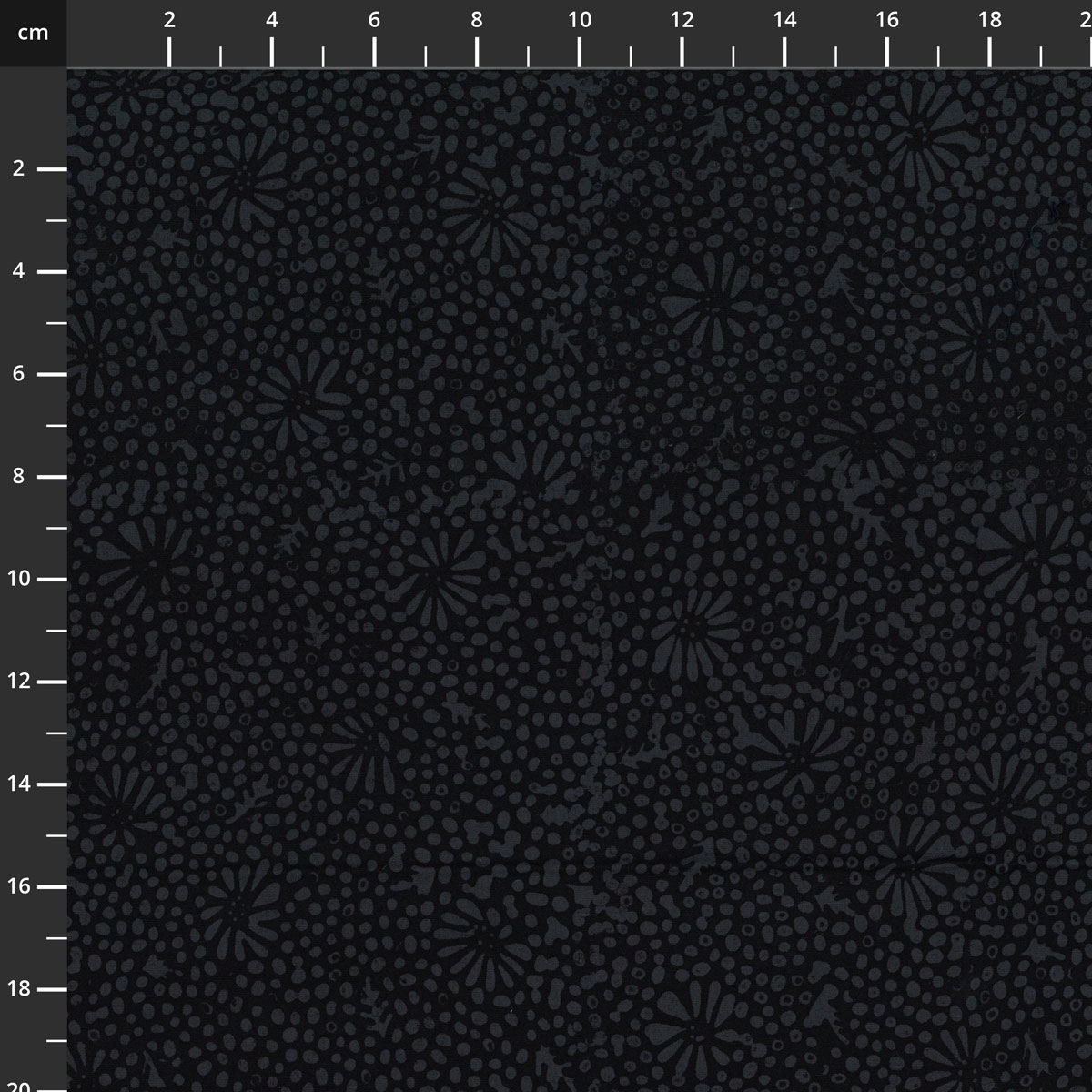 3386-900.jpg