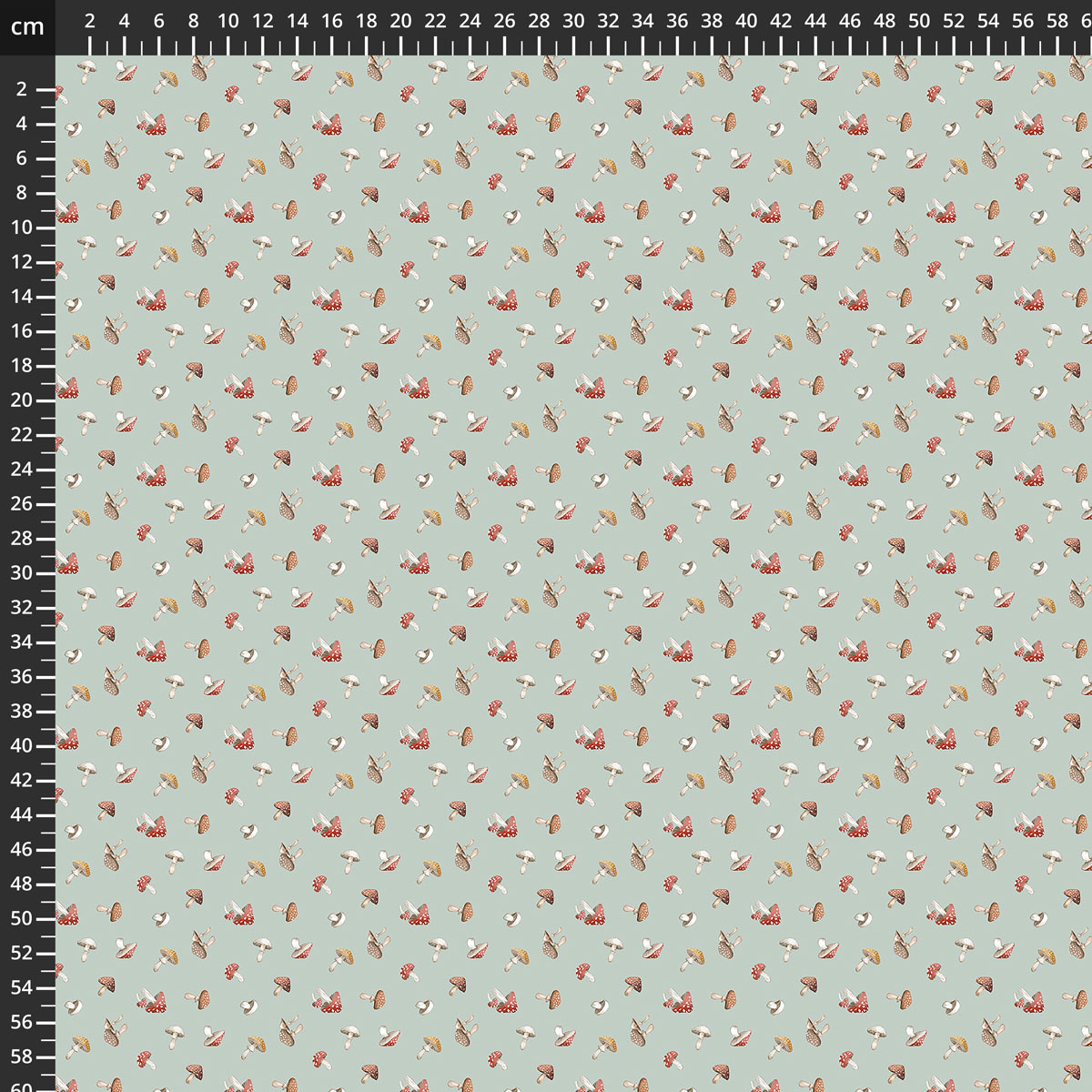 29515-63.jpg