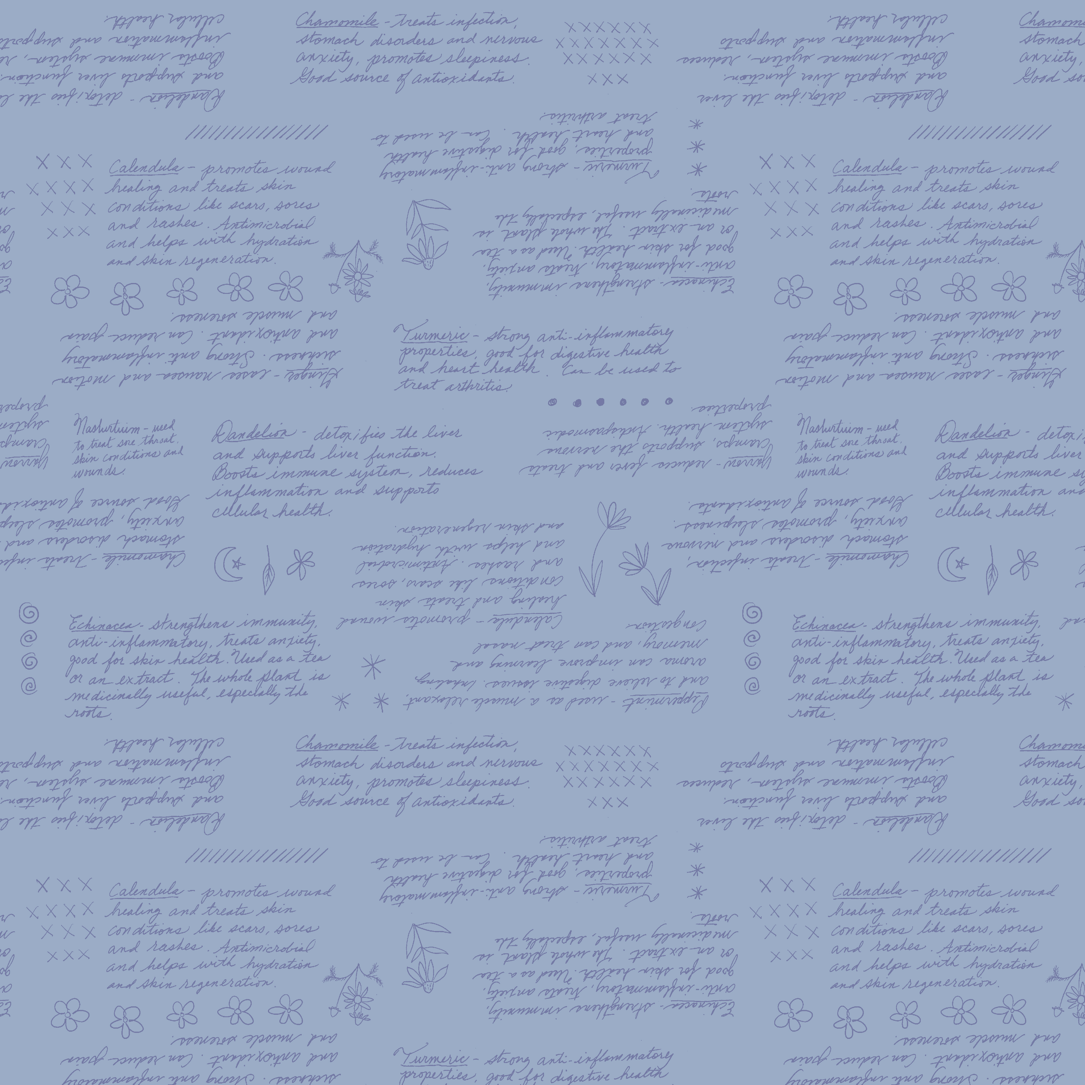 55724-11Periwinkle.jpg
