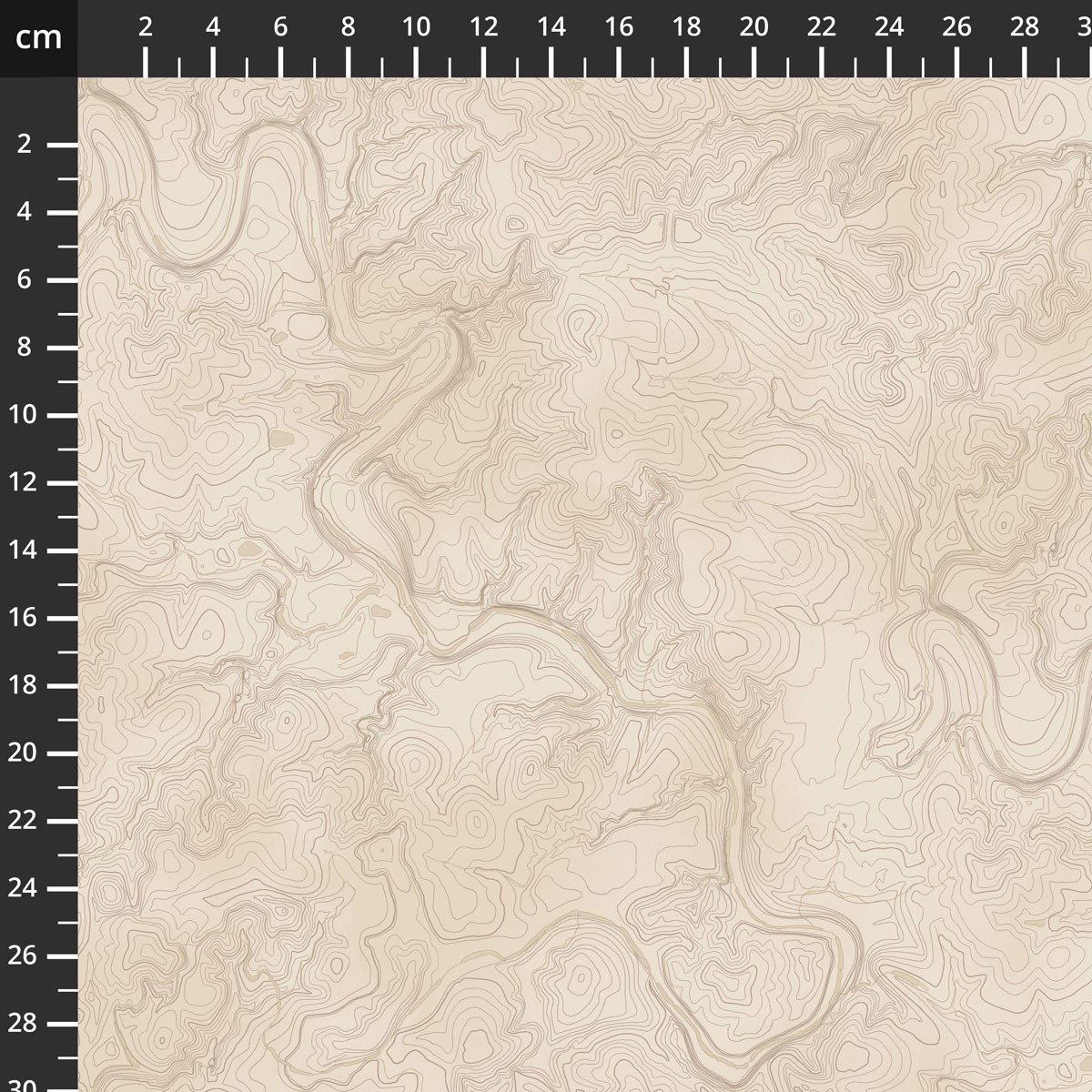 55595-4Cream.jpg