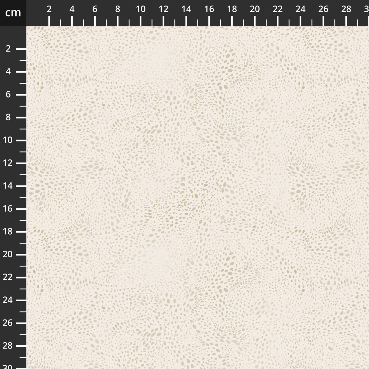 55568D-16Parchment.jpg