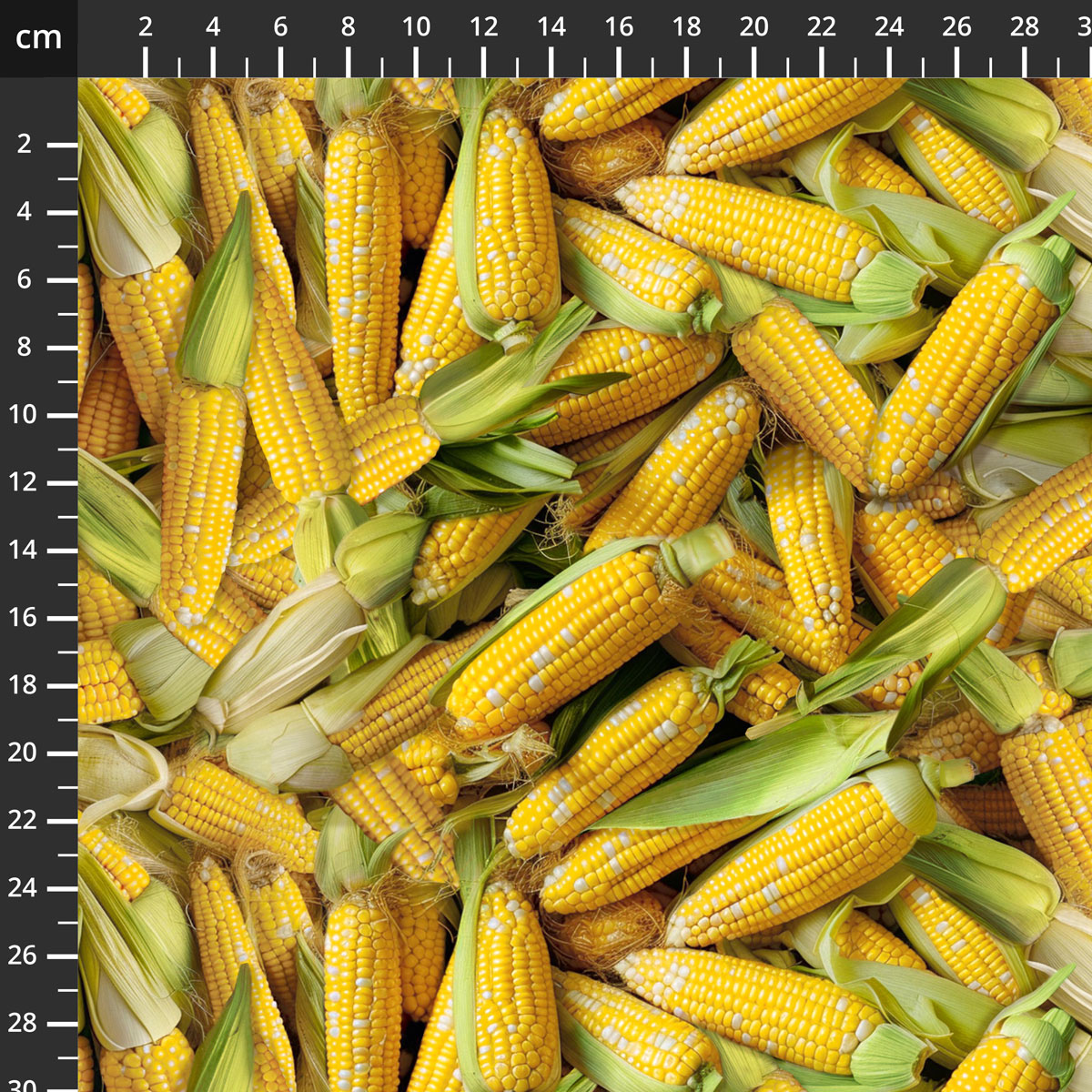 54402D-1Maize.jpg