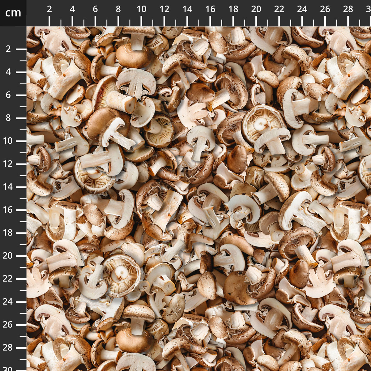54403D-1Mushroom.jpg