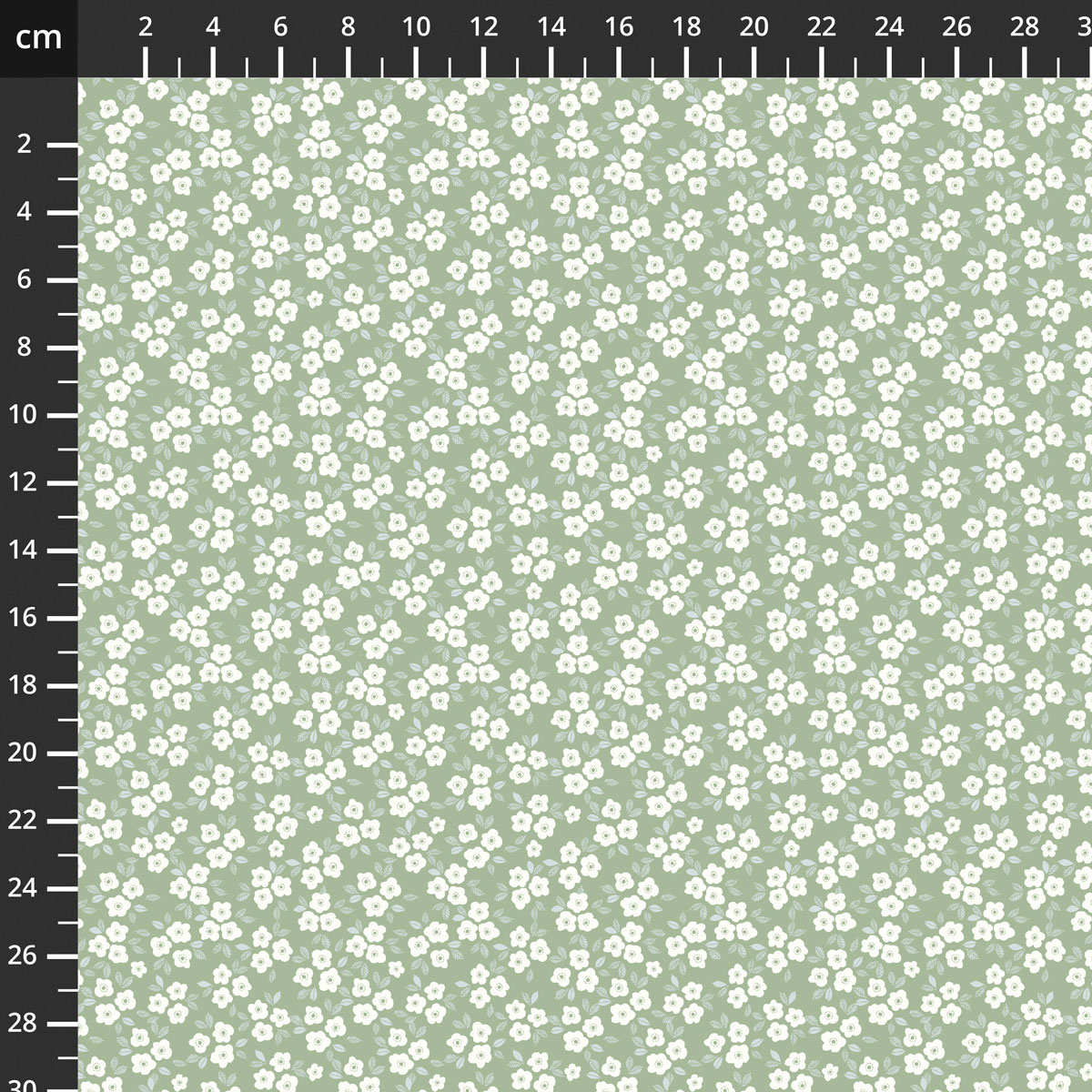 24883-GRN-CTN-D.jpg