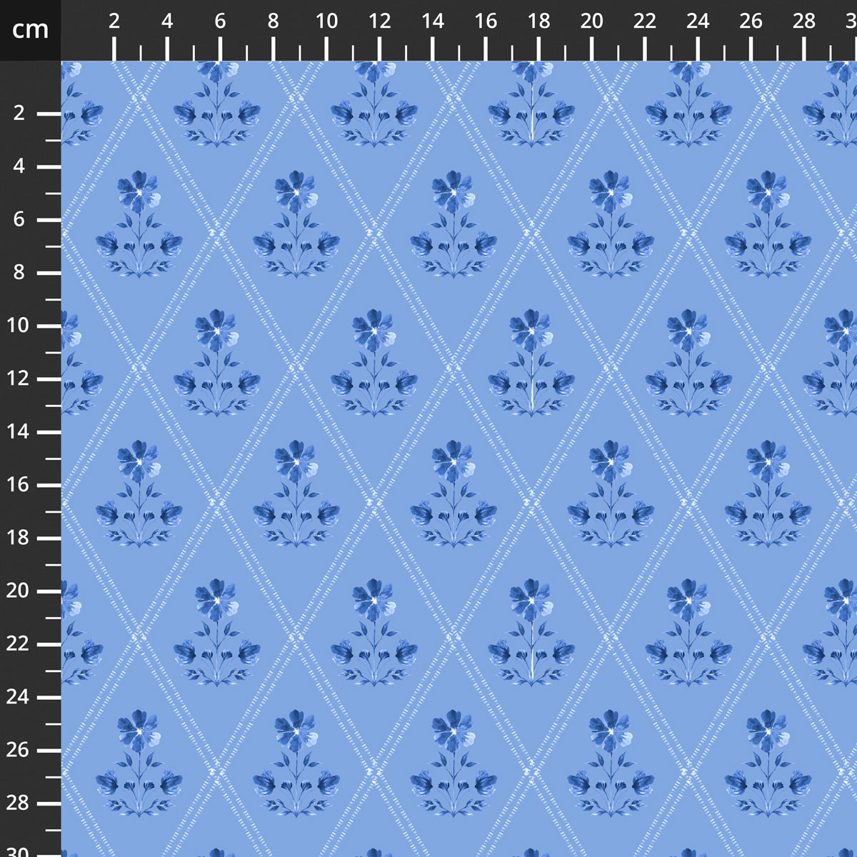 24854-BLU-CTN-D.jpg