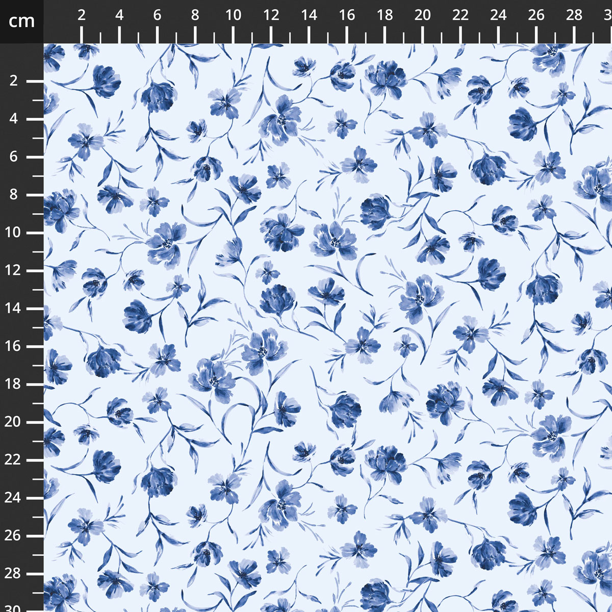 24858-BLU-CTN-D.jpg
