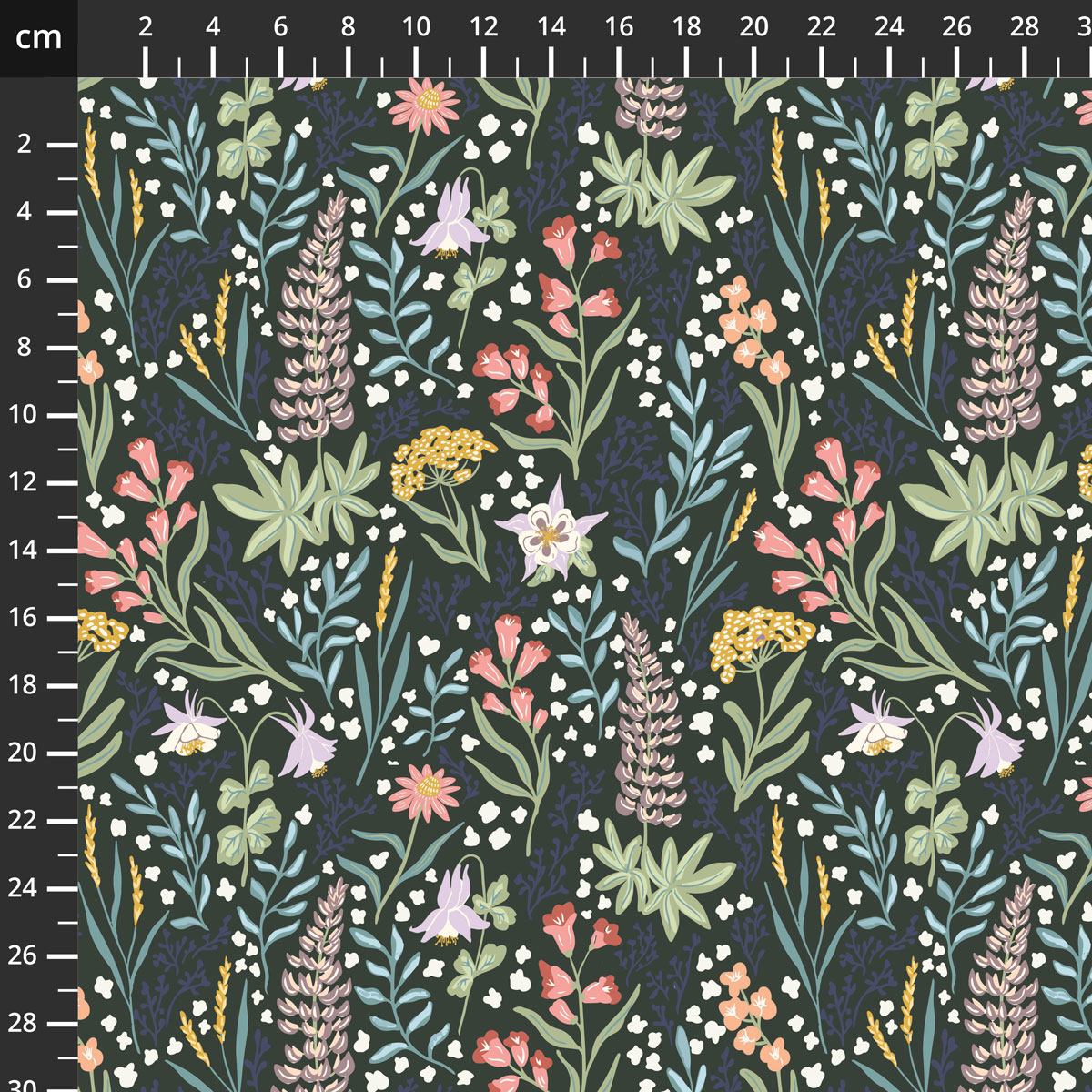 C18980-FOREST.jpg
