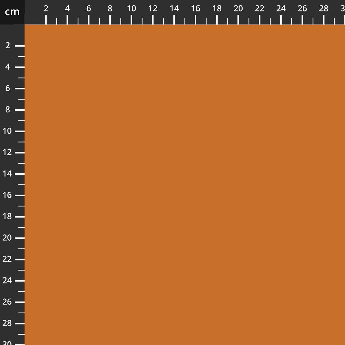 C120-AMBER.jpg