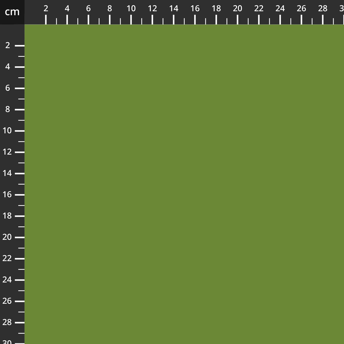 C120-OLIVE.jpg