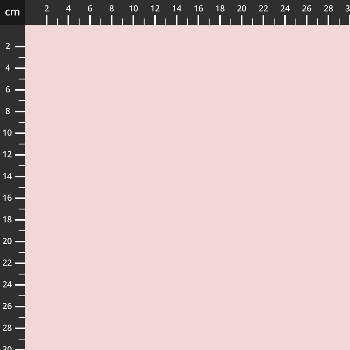 C120-PINKDOGWOOD.jpg