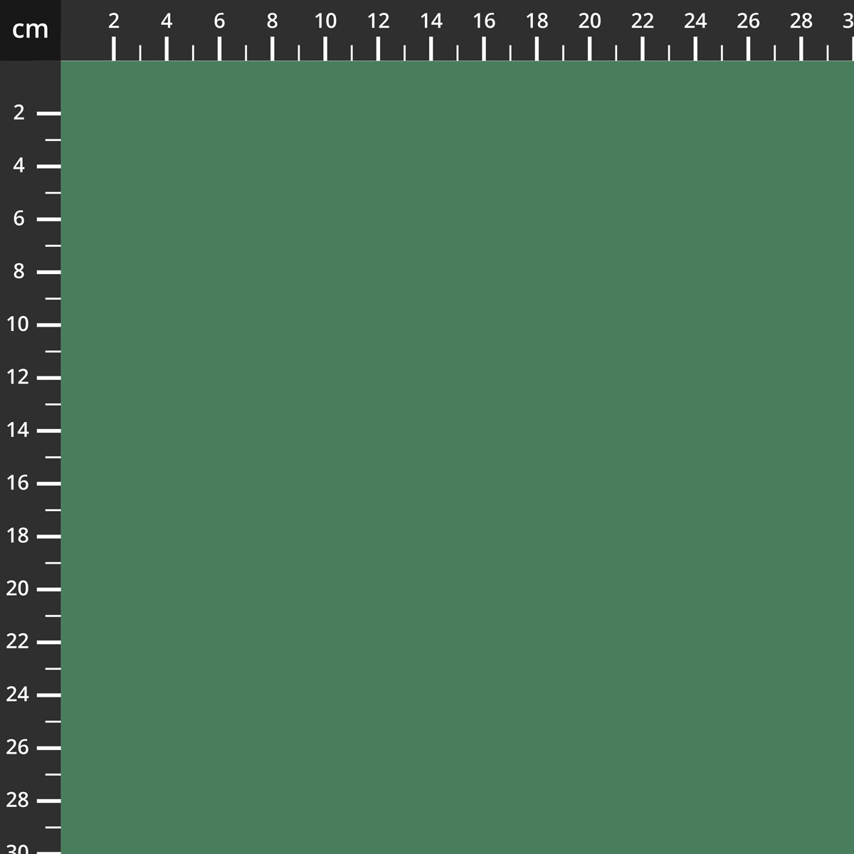 C120-CACTUS.jpg