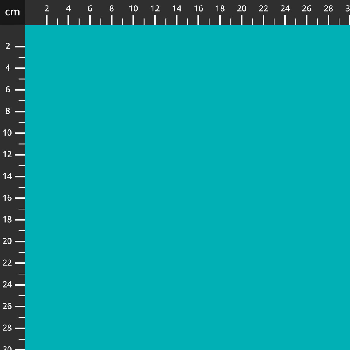 C120-POOLSIDE.jpg