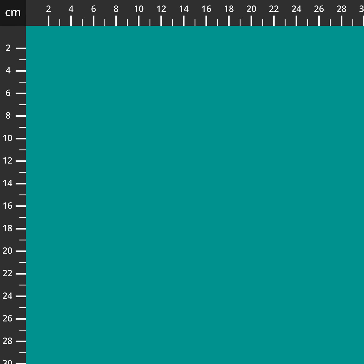 C120-RILEYTEAL.jpg