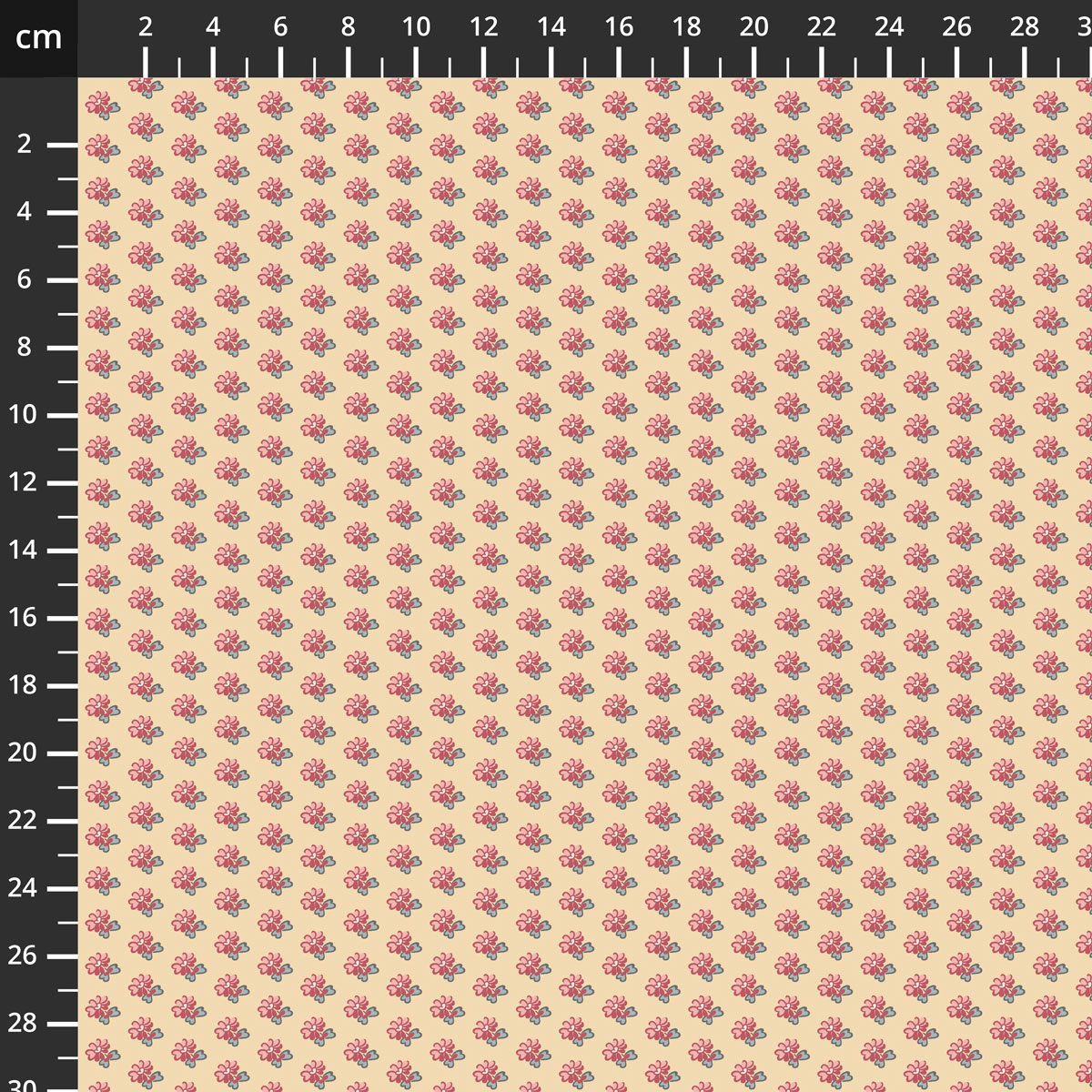 C12827-DELAFORD.jpg