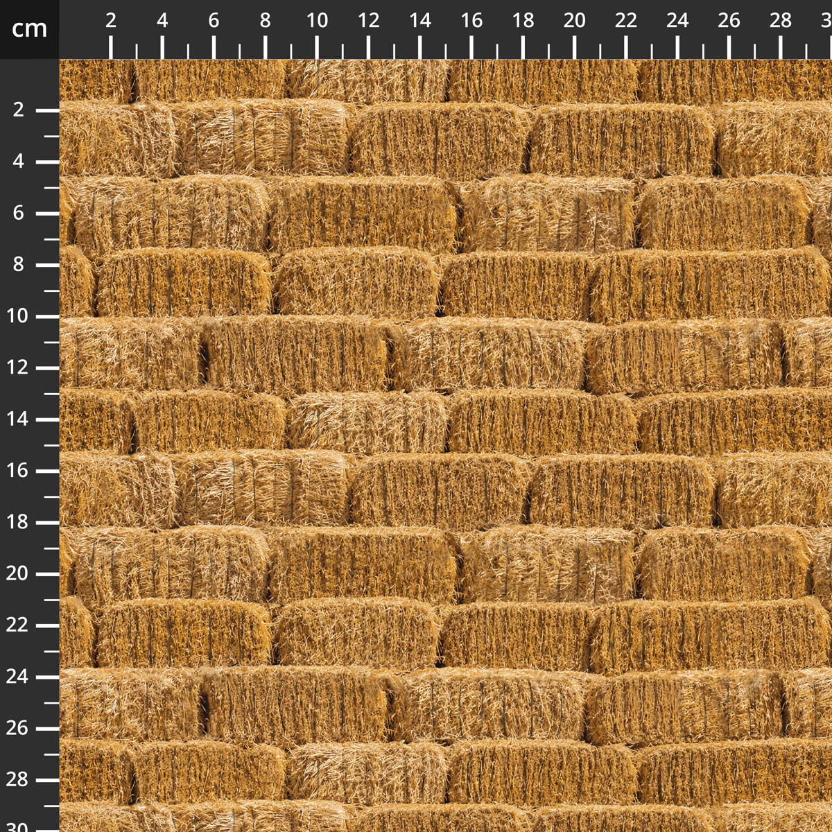 55885D-1Hay.jpg