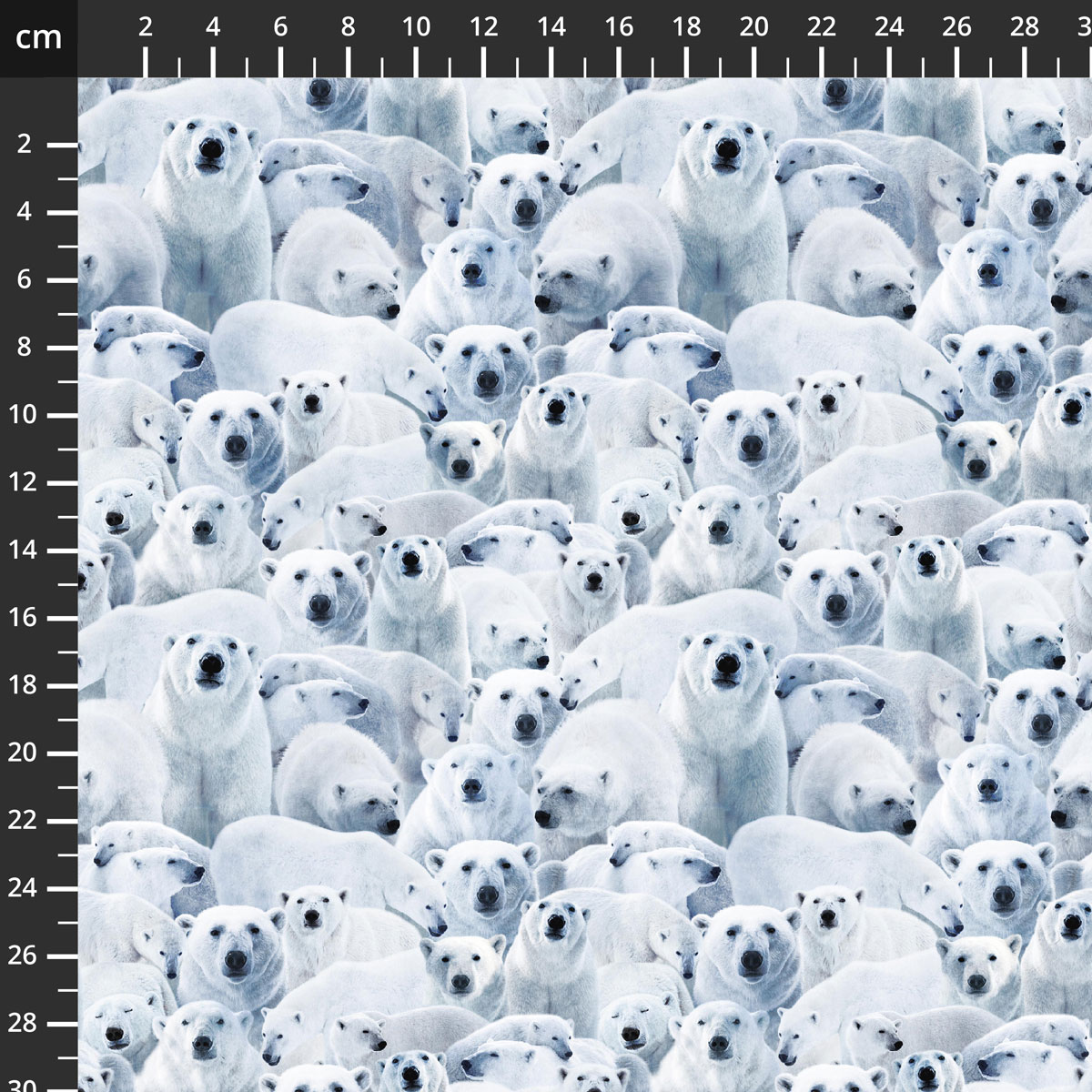 55033D-1Arctic.jpg