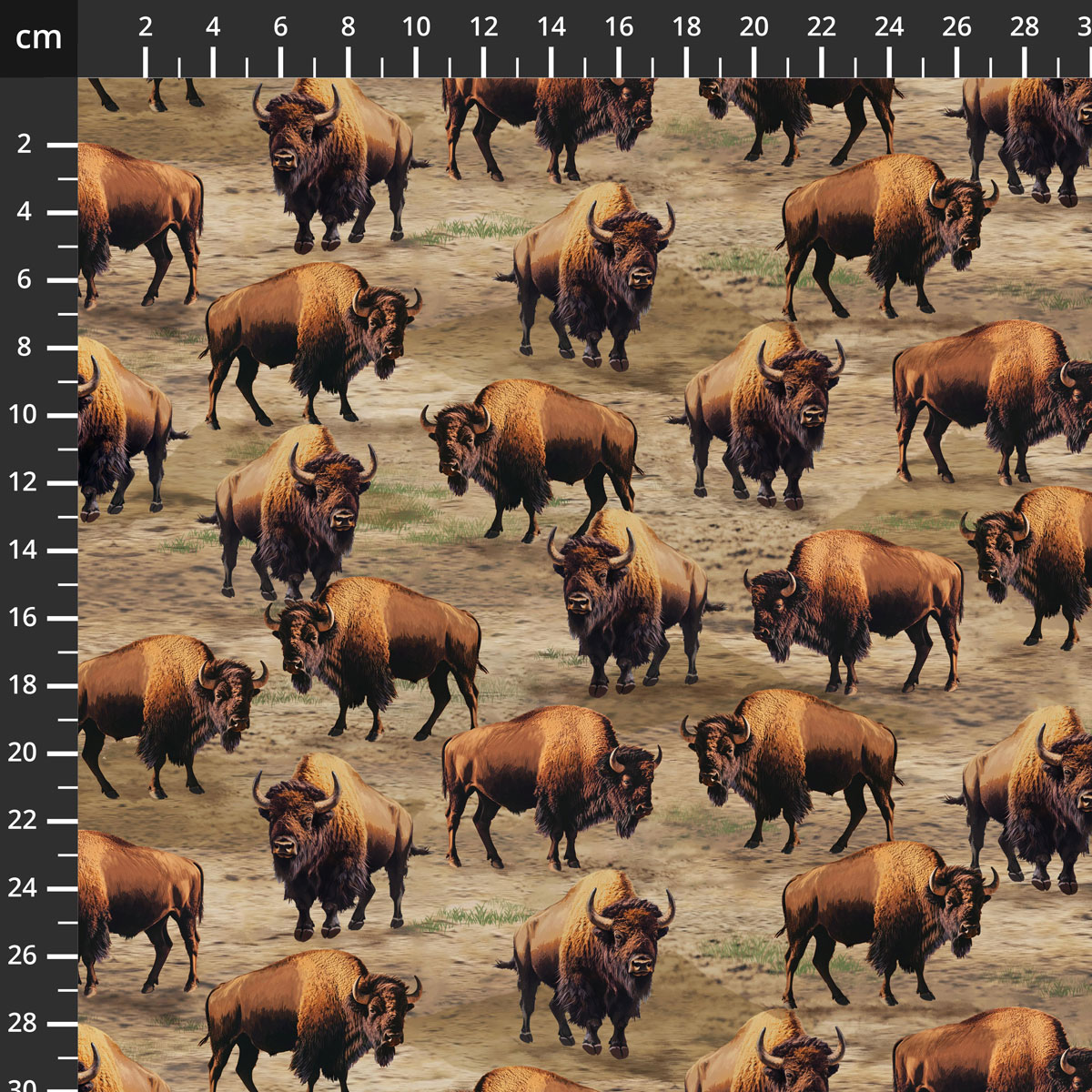 55036D-1Rangeland.jpg