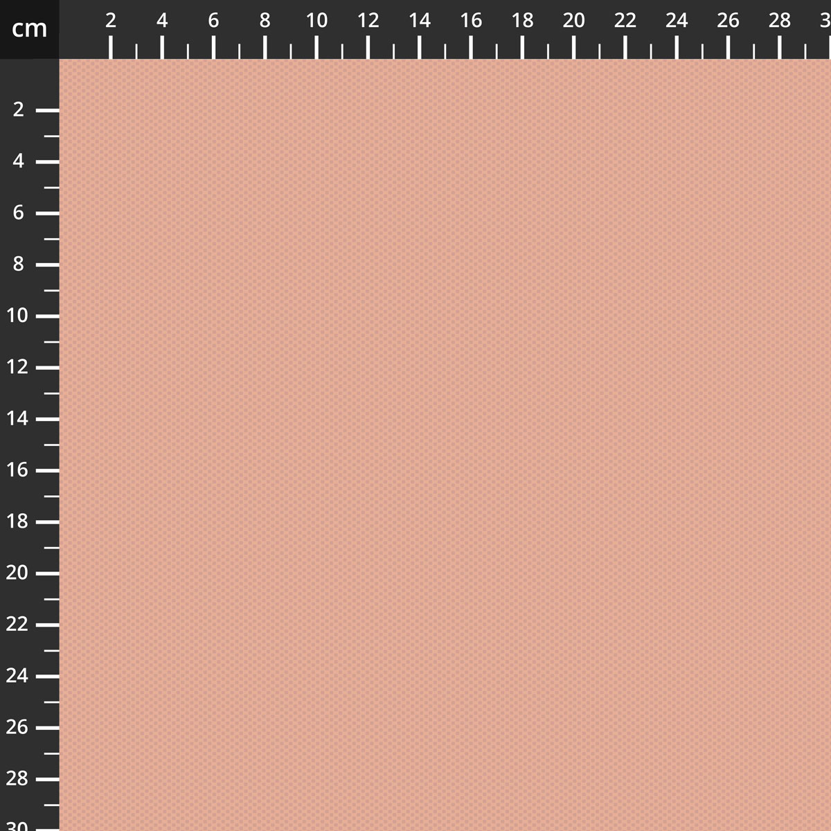 C805-MELLOWROSE.jpg