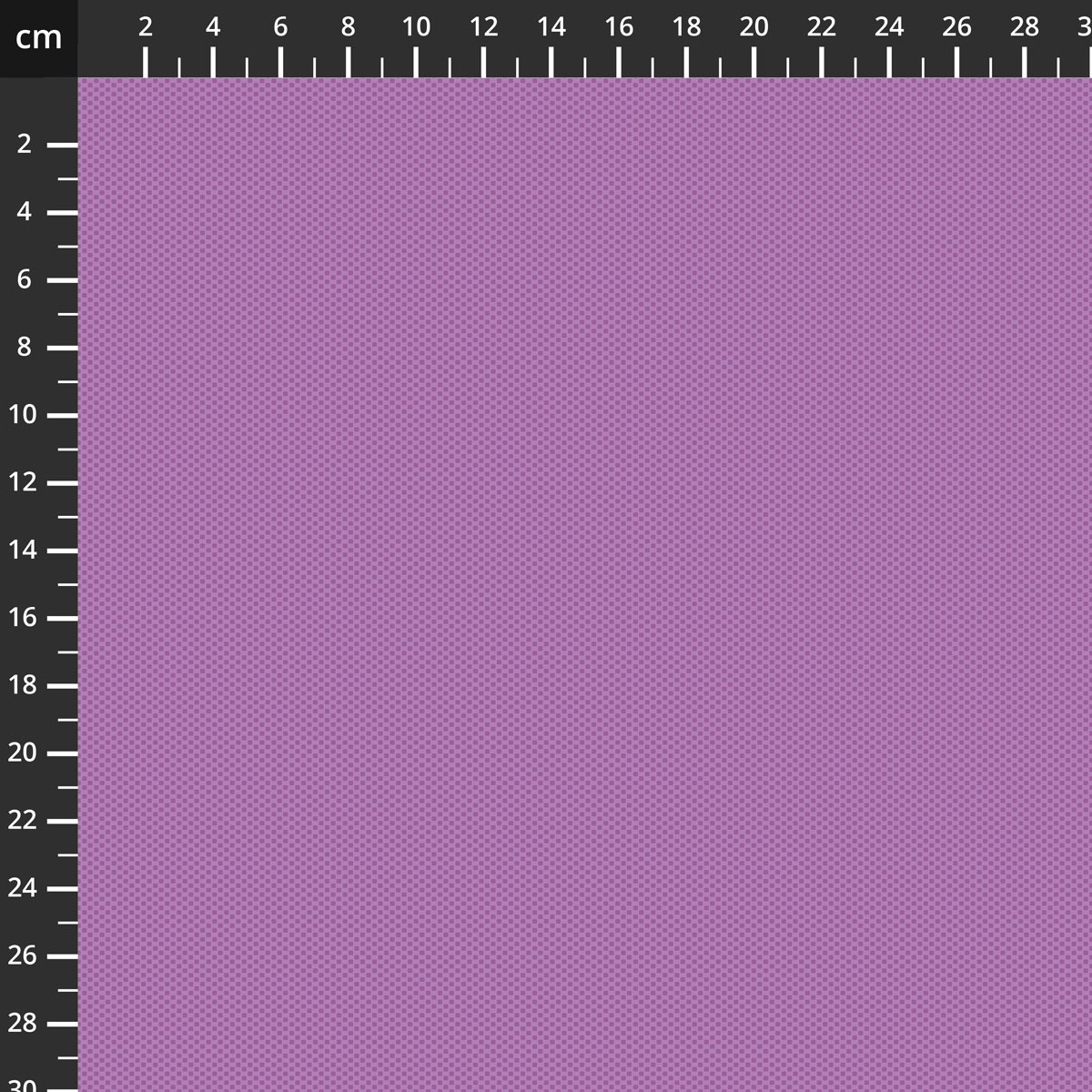 C805-ORCHID.jpg