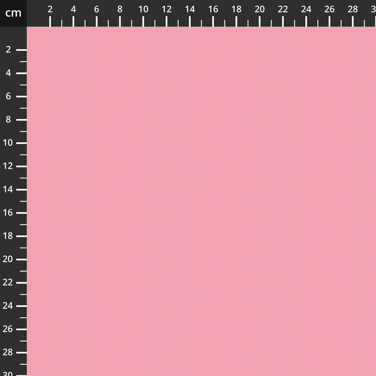 C805-PEONY.jpg
