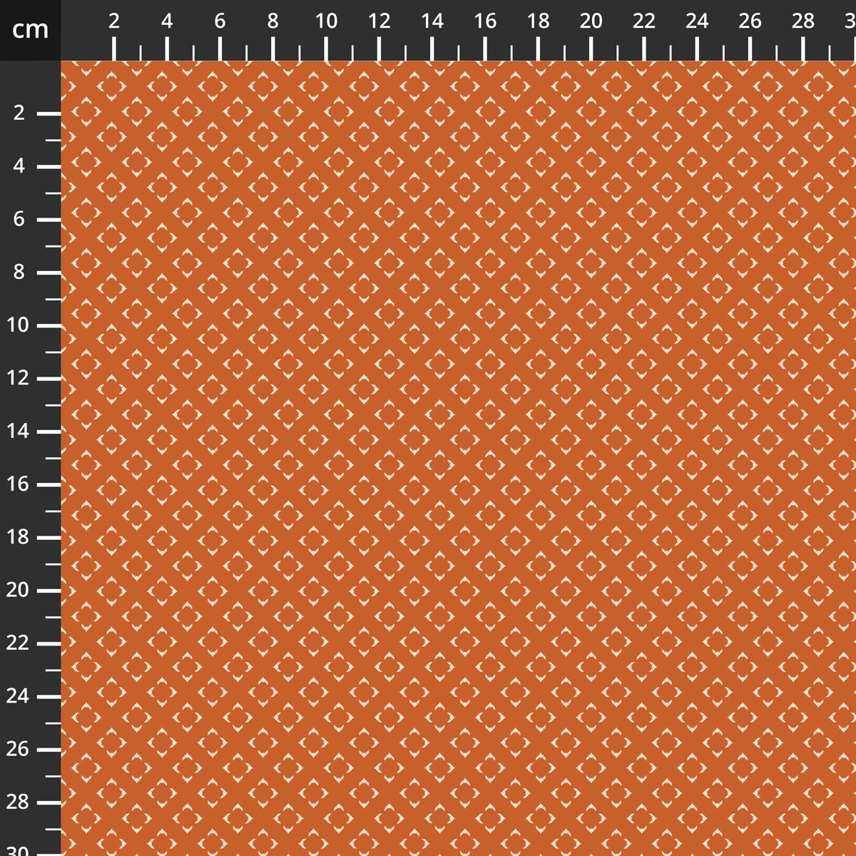 C19333-ORANGE.jpg