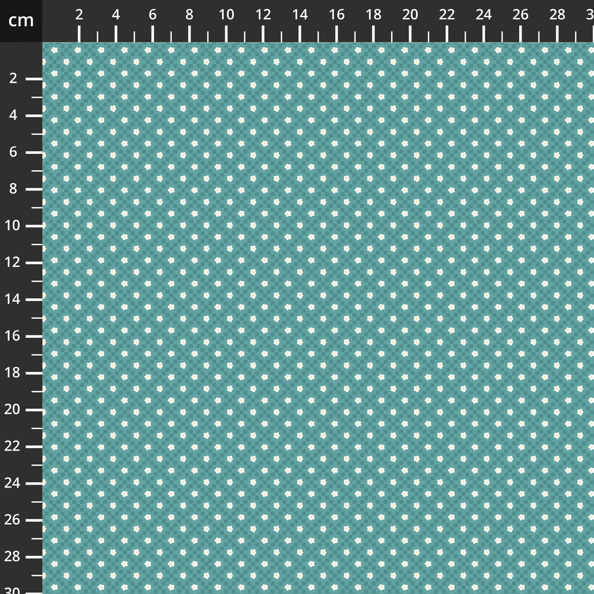 C19437-TEAL.jpg