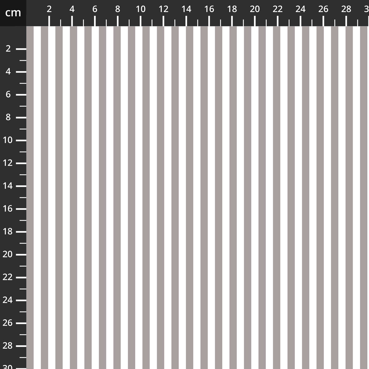 C555-GRAY.jpg